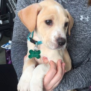 Meet your Posher, Lauren